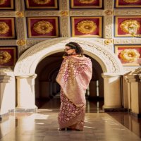 Rajpath Goldmine Wholesale Tissue Silk Ethnic Sarees Collection