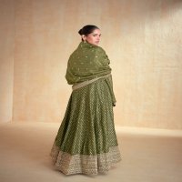 Aashirwad Banaras Wholesale Pure Jacquard Organza Silk Gown With Dupatta