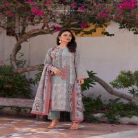 Sadhana Izel Wholesale Pure Jam Cotton With Fancy Work Salwar Suits