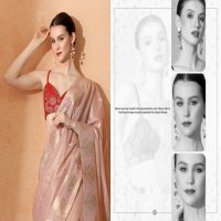 Sarha By Aura Viloni Silk Wholesale Tissue Fabrics Ethnic Sarees