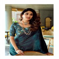 LT Fabrics Neel Vol-12 Wholesale Mono Satin With Swaroski Work Party Wear Sarees