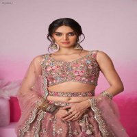 PF Series 6041 Colours Wholesale Net Fabrics Designer Lehengas