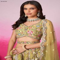 PF Series 6041 Colours Wholesale Net Fabrics Designer Lehengas