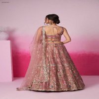 PF Series 6041 Colours Wholesale Net Fabrics Designer Lehengas