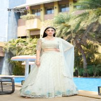 ANANTESH LIFESTYLE 5047 HIT DESIGN ORGANZA SEMI STITCH CHANIYA CHOLI ONLINE