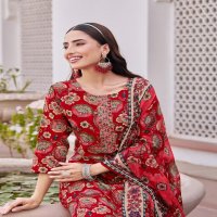 POSHAK VOL 1 BY RADHIKA LIFESTYLE AESTHETIC KURTI SETS PLUS SIZE AND READYMADE KURTI