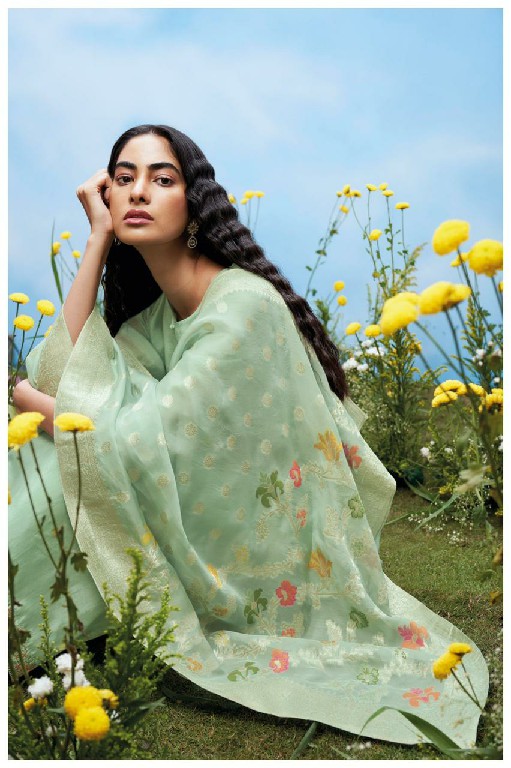 Ganga Timila s1092 cotton fancy print Dress Material