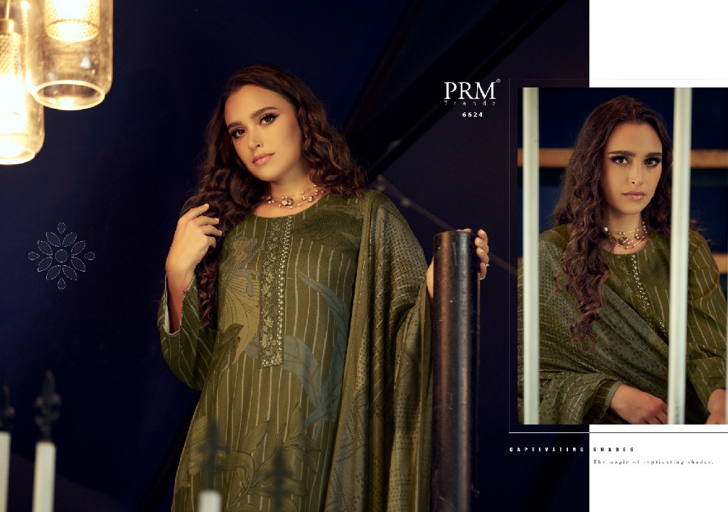 PRM Aryahi Wholesale Viscose Pashmina With Fancy Work Winter Suits