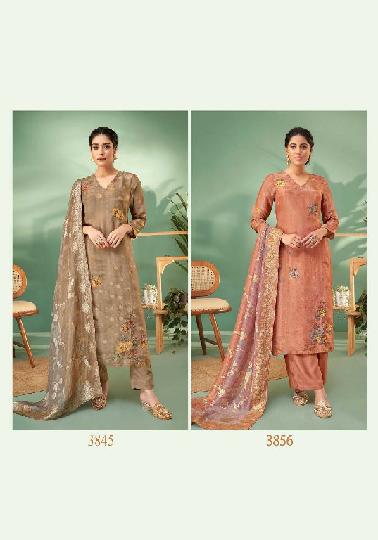 T And M Kaseesh Wholesale Simmer Tissue With Hand Work Salwar Suits