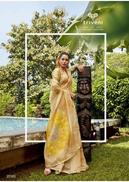 triveni phooljhadi vol 10 abstract printed organza saree online