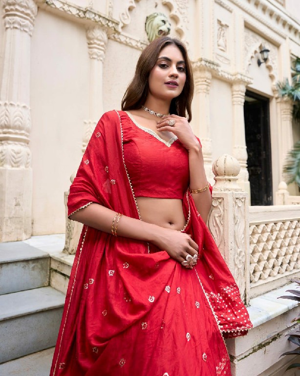LNB Priyadarshi 1906 Wholesale Pure Chanderi Plain Lehenga with Intricate Zari Work Border Lehengas Choli