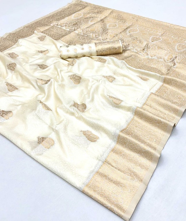 Rajtex Karnival Park Wholesale Two Tone Handloom Weaving Silk Party Wear Sarees