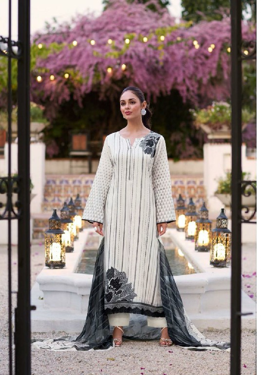 Sadhana Iliana Wholesale Pure Jamm Cotton With Fancy Work Salwar Suits