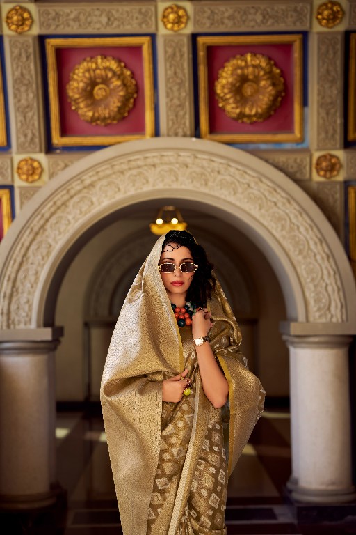Rajpath Goldmine Wholesale Tissue Silk Ethnic Sarees Collection