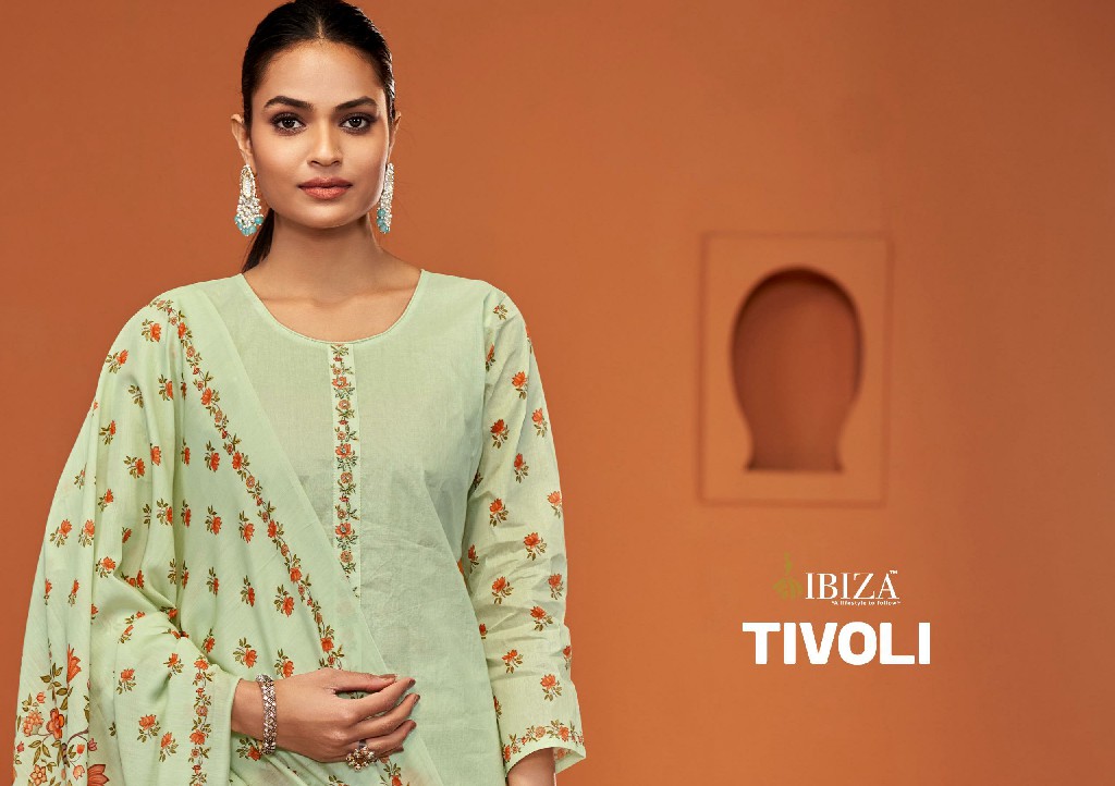 Ibiza Tivoli Wholesale Orgendi With Handwork Straight Salwar Suits