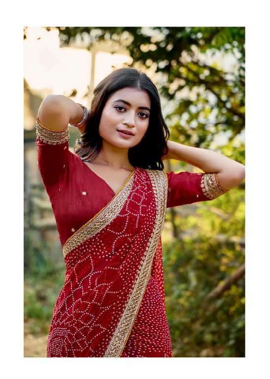 Kashvi Chuneri Vol-2 Wholesale Mono Georgette With Coding Work Sarees